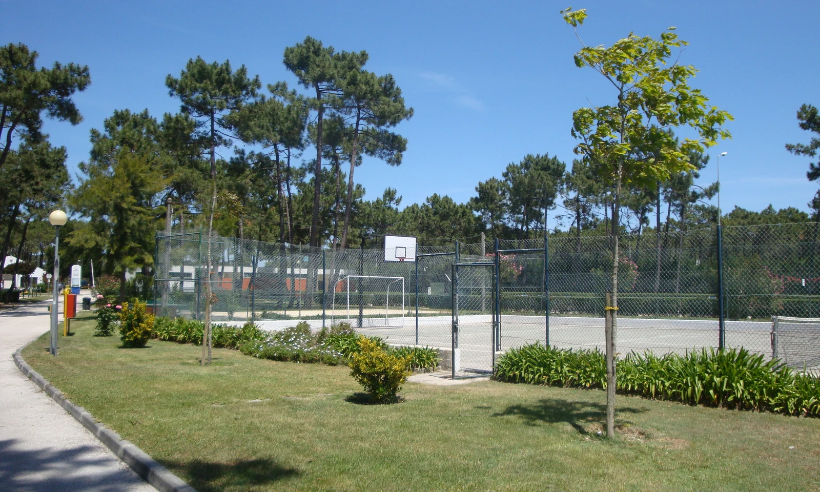 Basketball court surrounded by a tall fence, trees, and bushes, adjacent to a quiet road at Gala