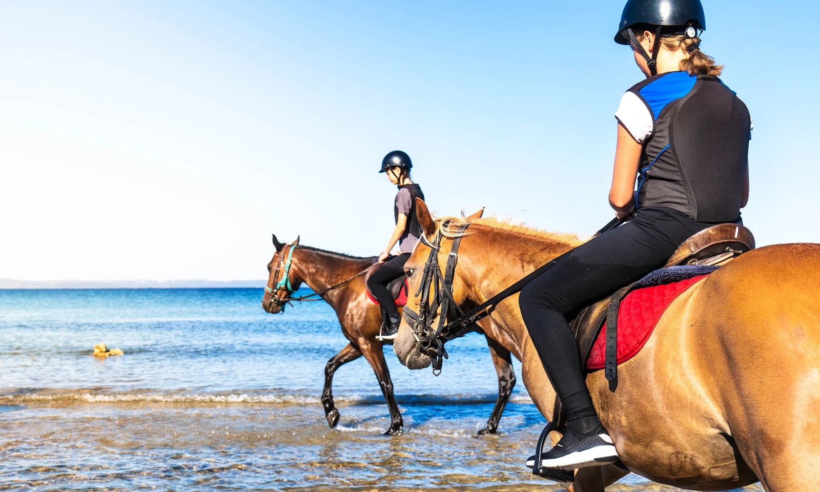 Horses with riders walk through shallow water on a sunny beach at Zaton Holiday Resort