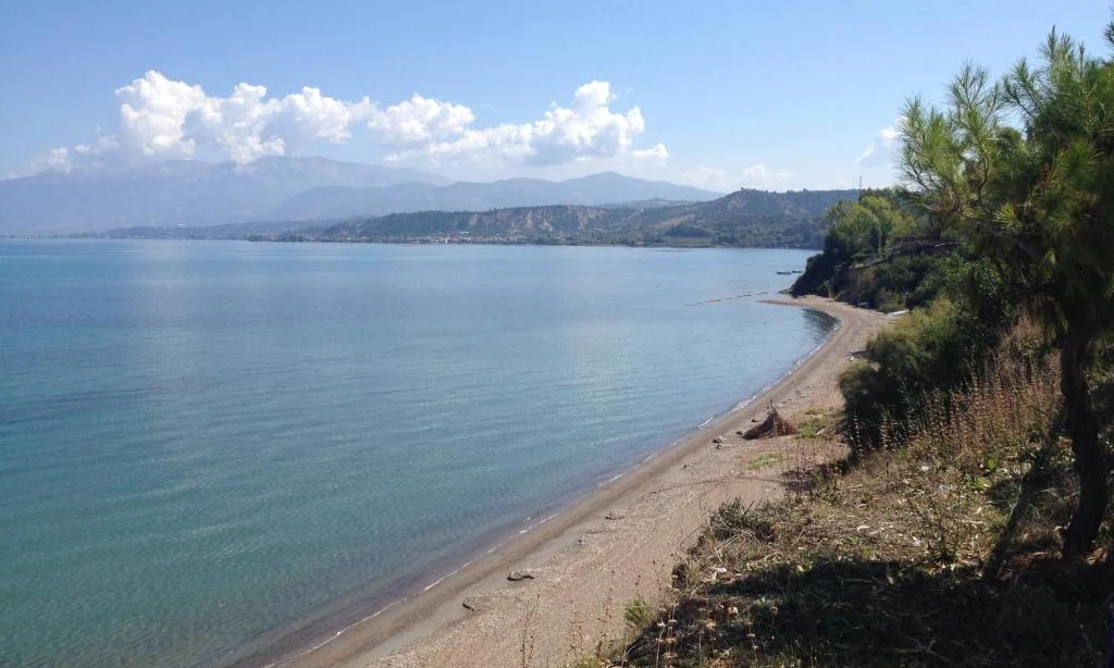 Shoreline stretching beside calm blue water and distant mountains, with sparse vegetation and trees along the sandy beach at Golden Sunset
