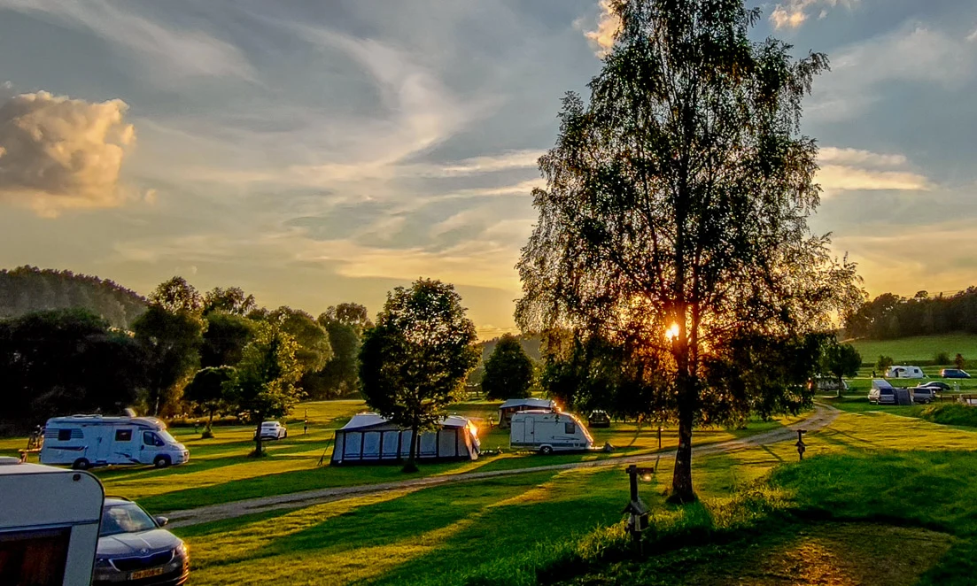 A tree silhouetted by the setting sun in a campsite with caravans and tents scattered on green grass at Chvalsiny
