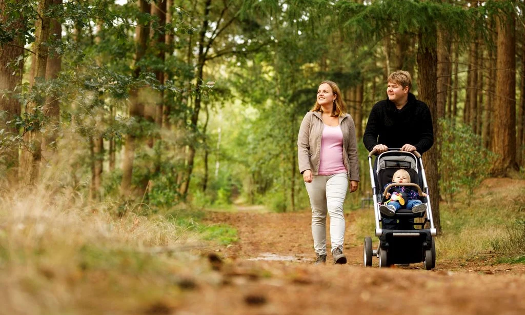 A couple walks a forest trail, pushing a baby in a stroller; surrounded by tall trees and dense foliage at Landal Dwergter Sand