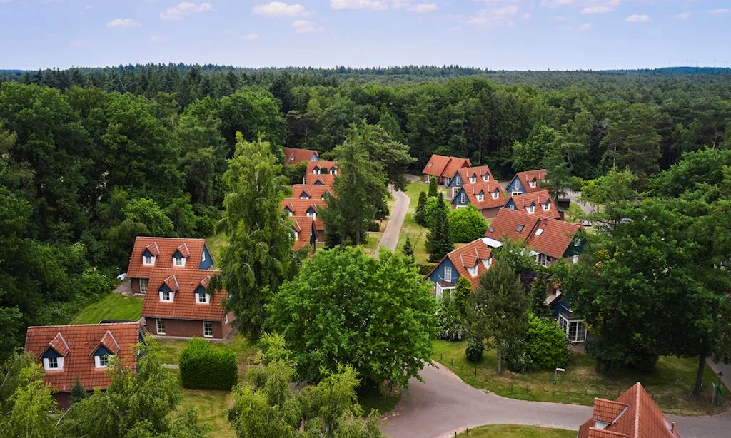 Red-roofed houses standing still among lush green trees and winding paths at Landal Dwergter Sand