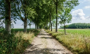 Wallonia