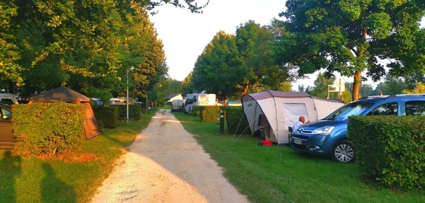 Tents and caravans lined up on both sides of a gravel path amidst green grass and tall trees at Seasonova Le Martinet