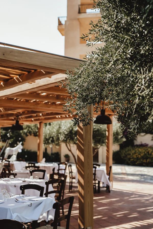 Tables are set with white tablecloths under a wooden pergola, surrounded by olive trees and sunlight at Candia Park Village