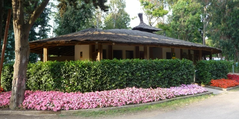 A thatched-roof building surrounded by lush greenery and blooming flowers, situated among tall trees at Le Capanne
