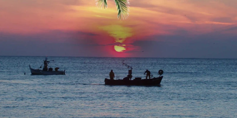 Two boats sail on an ocean with a sunset sky, with a palm leaf hanging over the scene at dei Fiori