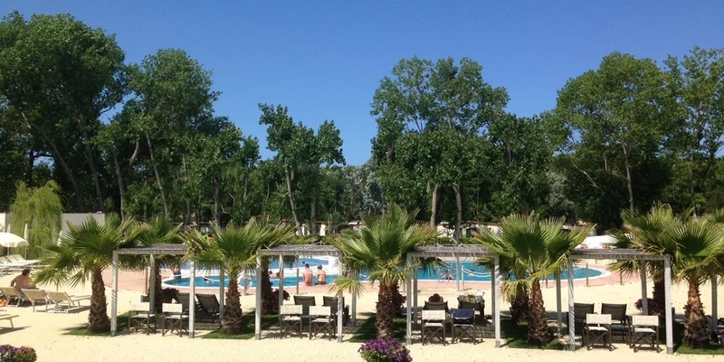 Swimming pool area with palm trees and lounge chairs, people relaxing and swimming under a clear blue sky at Molino a Fuoco