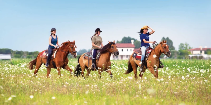 People riding horses across a wildflower field with buildings in the distance at Union Lido