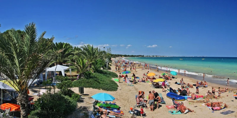 People sunbathing and swimming on a crowded sandy beach, scattered with colorful umbrellas and surrounded by palm trees at La Torre Del Sol