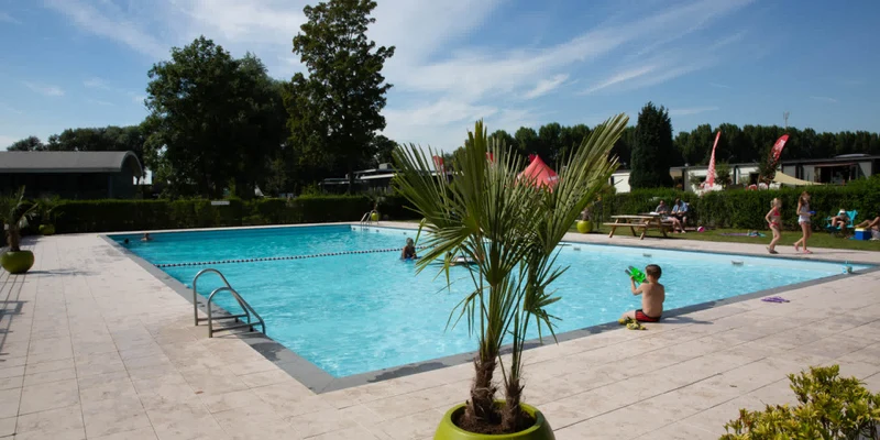 Swimming pool with children playing, surrounded by greenery and picnic tables at Europarcs De Biesbosch