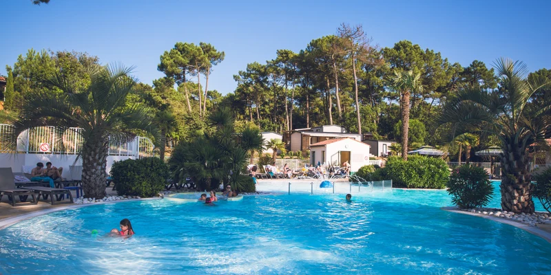 Swimming pool with people enjoying water, surrounded by palm trees, sun loungers, and a building; lush forest background at Domaine de Montcalm