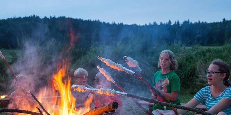 Children roasting food over a campfire, sitting on grassy field near forest at Chvalsiny