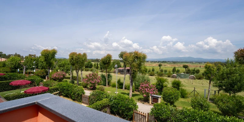 Trees stand tall amid green fields under a clear blue sky, surrounded by neatly trimmed bushes and red umbrellas at Residence Rosa Dei Venti