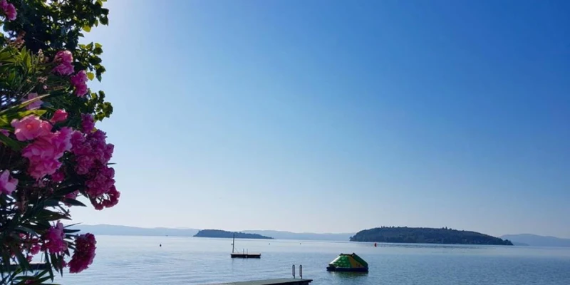 Pink flowers bloom beside a calm lake, with docks and distant islands under a clear blue sky at Punta Navaccia