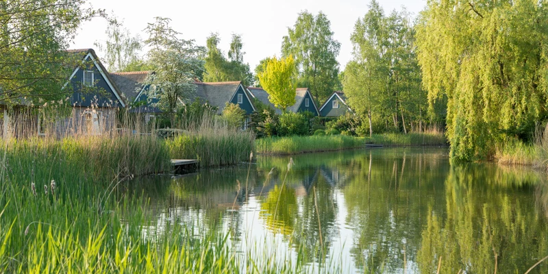 Houses reflecting on a serene pond, surrounded by lush greenery and tall grasses at Villapark de Weerribben