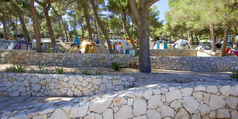 Tents stand amid stone terraces, surrounded by tall trees, with sunlight filtering through branches at Poljana