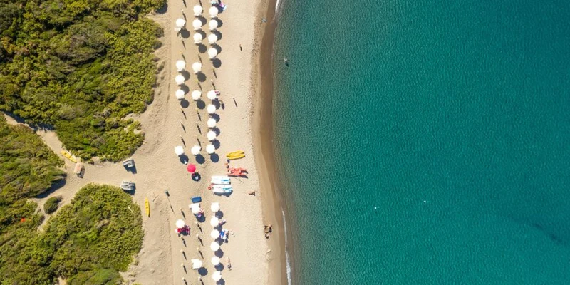 Beach umbrellas and loungers on sandy shore adjacent to turquoise sea, bordered by dense green foliage at Club Degli Amici