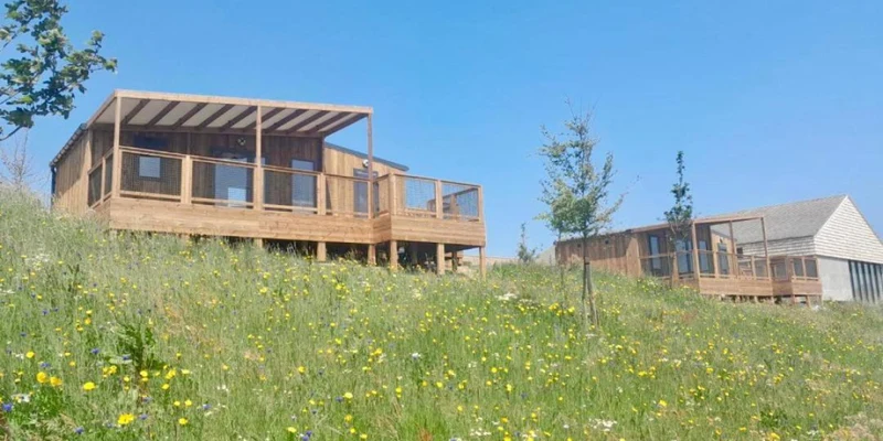 Wooden cabins are perched on a grassy hillside adorned with wildflowers under a clear blue sky at Seasonova Le Domaine Saâne et Mer