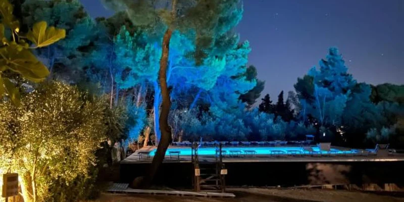 A glowing tree illuminated at night stands next to a lit swimming pool surrounded by other trees at La Scogliera