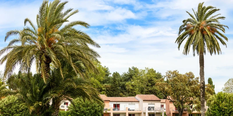 Palm trees stand tall with residential buildings in the background, set in a lush, green landscape at Les Perles de Saint-Tropez