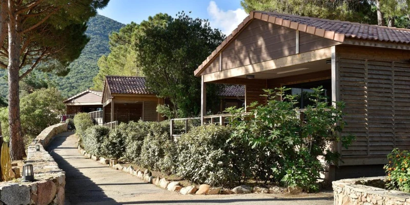 Cabins line a paved path, surrounded by lush greenery and tall trees, set against a mountain backdrop at U Livanti