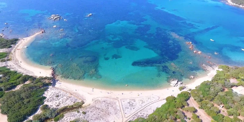 Sandy beach forming a cove with people sunbathing, bordered by clear turquoise sea and dense greenery at Camping Le Damier
