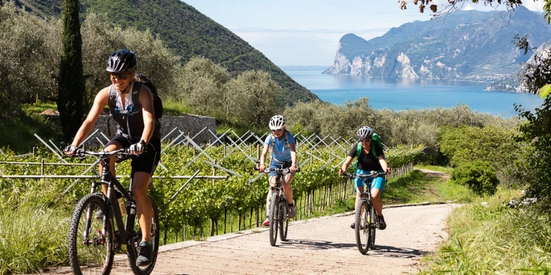 Cyclists ride along a scenic trail, flanked by vineyards and overlooking a coastal landscape at Domina Borgo Degli Ulivi