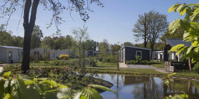 Cabins nestled among trees by a serene pond on a sunny day at Europarcs Reestervallei