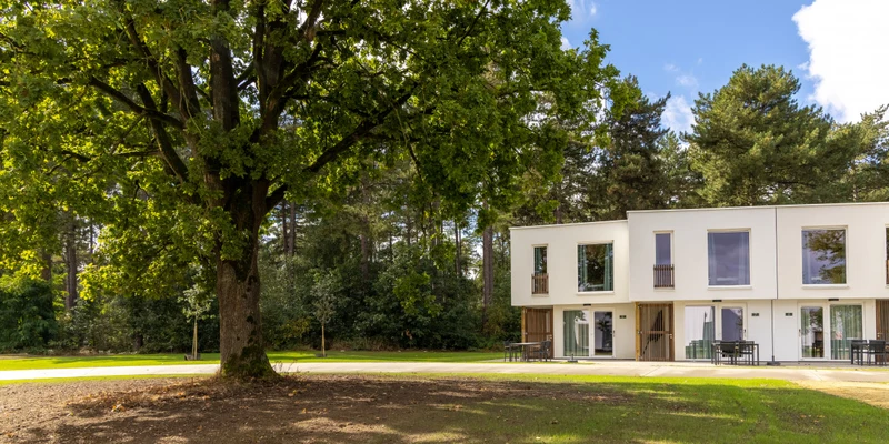 A large tree stands beside modern white apartment buildings, surrounded by a grassy area and forest at Park Eksel