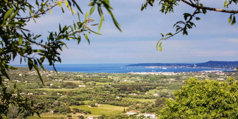 Scenic landscape overlooking lush valley, distant sea, and horizon, framed by branches with green leaves at Family Port Grimaud