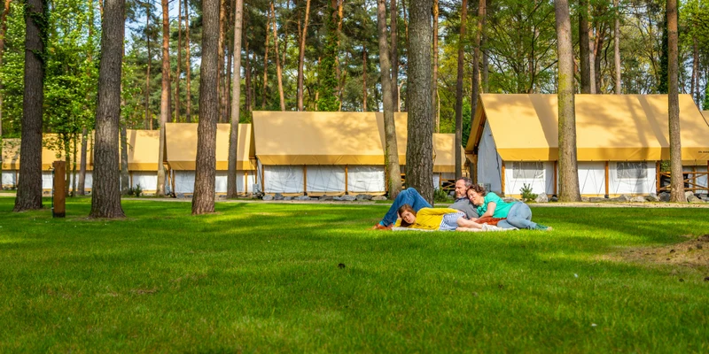 People lounging on grass amidst tall trees, with several identical cabins in the background at Glamping Resort Hoge Kempen
