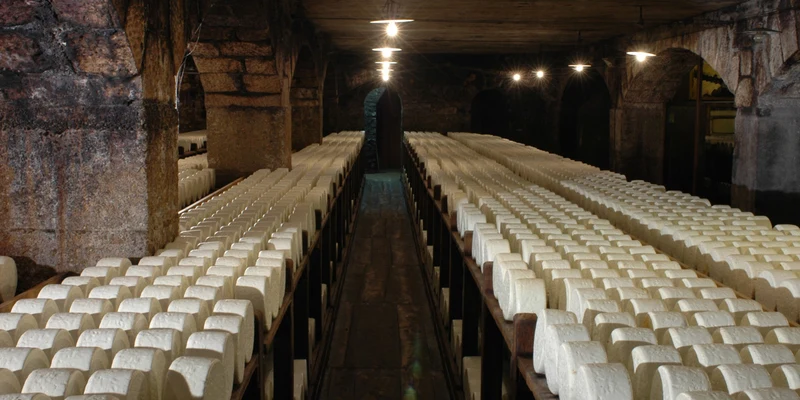 Rows of cylindrical cheese wheels aging on wooden shelves in a dimly lit stone cellar at Lac aux Oiseaux