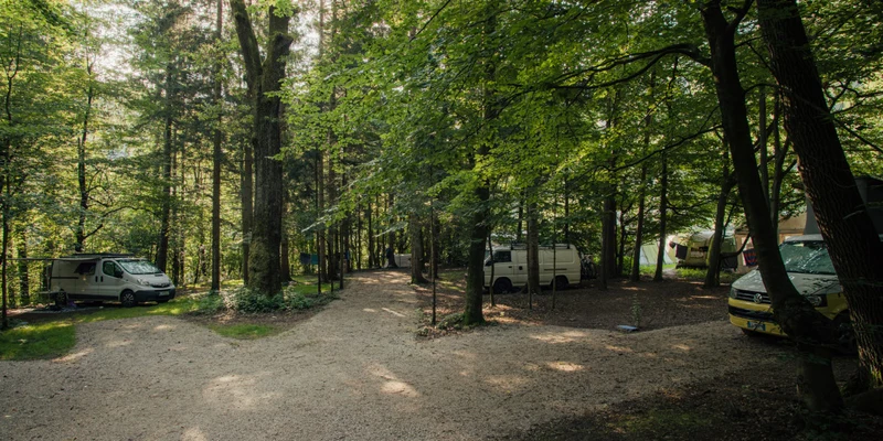 Camper vans parked on a gravel path, surrounded by tall trees in a dense forest at Forest camping Mozirje