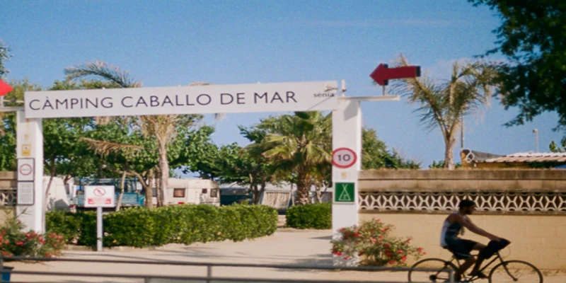 Bicyclist rides past entrance sign under palm trees and blue sky at Caballo de Mar